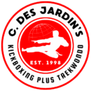 Kickboxing Plus Taekwondo Academy